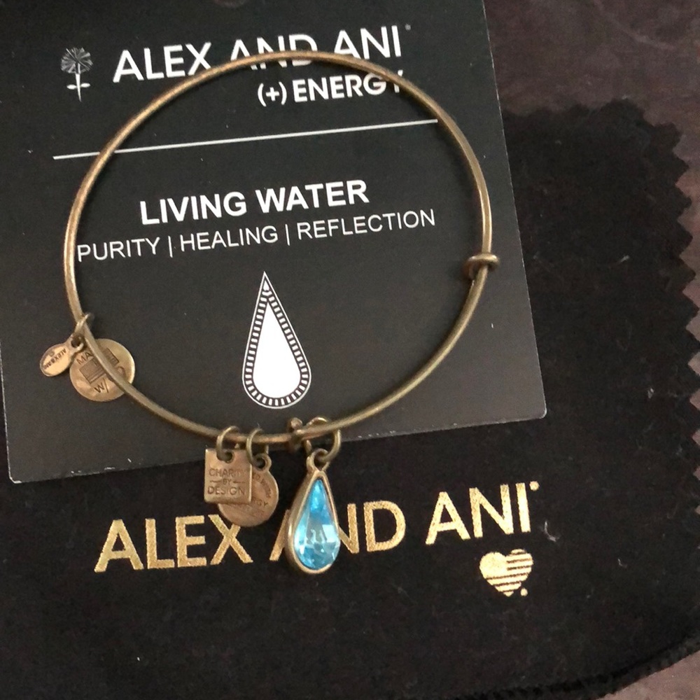 Alex and Ani Living Water Bracelet